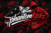 Translation missing: en.Phantomkicks accessibility.home